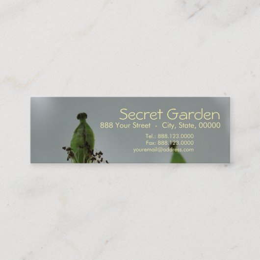 Papavers en schaduwen (5) mini visitekaartje (Voorkant)