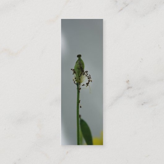 Papavers en schaduwen (5) mini visitekaartje (Achterkant)