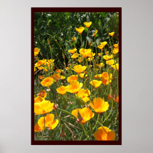 Papavers Grote Posters en Prints