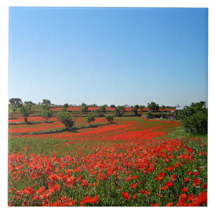 Papavers in Bloom Tegeltje