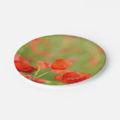 Papavers in een bord van papaverveld met picknick- (Gekanteld)