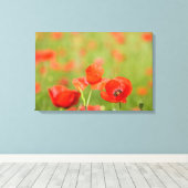 Papavers in een papaver veld canvas afdruk (Insitu (Houten vloer))