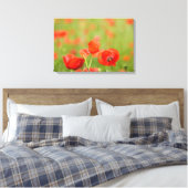 Papavers in een papaver veld canvas afdruk (Insitu (Slaapkamer))