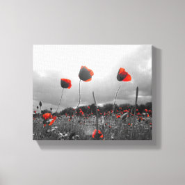 Papavers in zwart, wit en rood canvas afdruk