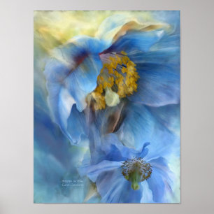 Papavers met blauw Poster/afdrukken Poster