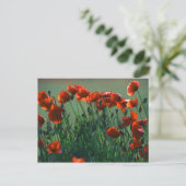 Papavers nr. 3 | BRIEFKAART (Staand voorkant)