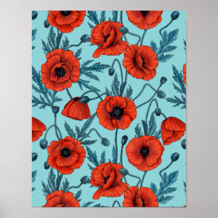 Papavers, rood en blauw op zwembad blauw poster