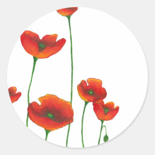 Papavers Sticker
