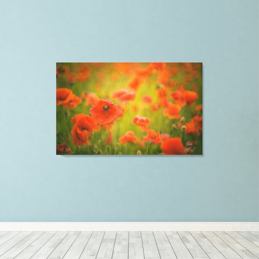 Papavers veld canvas afdruk (Insitu (Houten vloer))