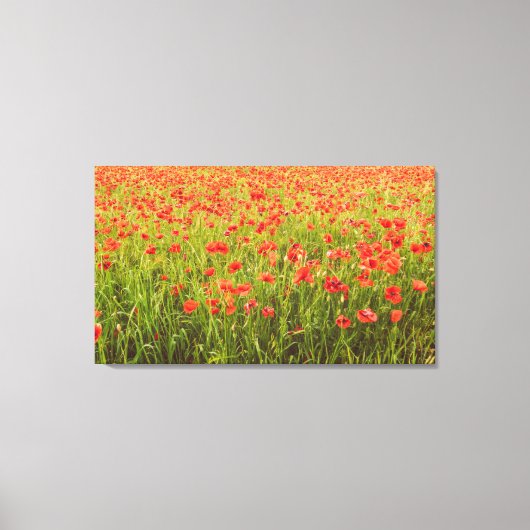 Papavers veld canvas afdruk (Voorkant)