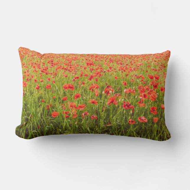 Papavers veld kussen (Voorkant)