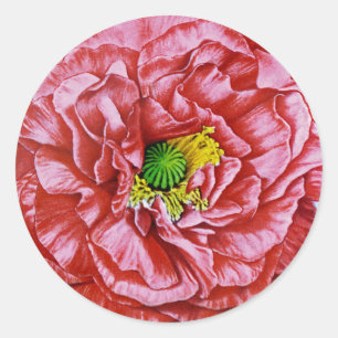 Papavers  zaadpakket ronde sticker