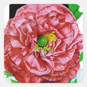 Papavers zaadpakket vierkante sticker
