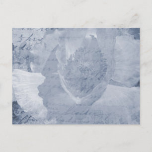 Papavery 2 briefkaart