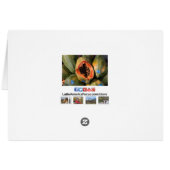 Papaya Fruit Slicted Open Black Seeds Wenskaart (Achterkant Horizontaal)