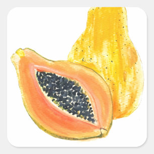 Papaya-waterverf Vierkante Sticker