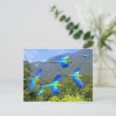 papegaai briefkaart (Staand voorkant)