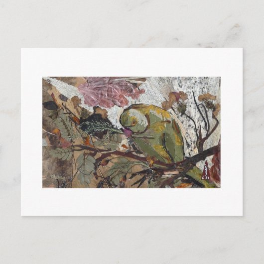 papegaai briefkaart (Voorkant)