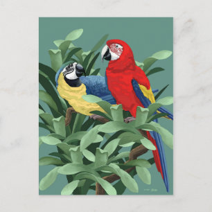 Papegaai Briefkaarten