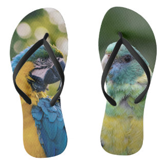 Papegaai Geblokstreepte Teenslippers