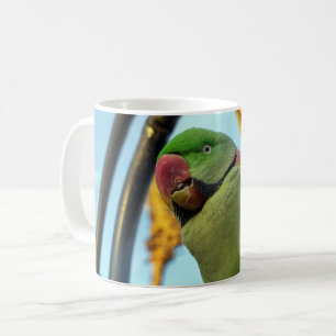 Papegaai Koffiemok