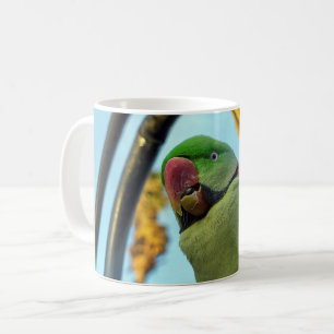 Papegaai Koffiemok