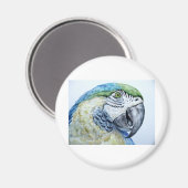 papegaai magneet (Voorkant / Achterkant)