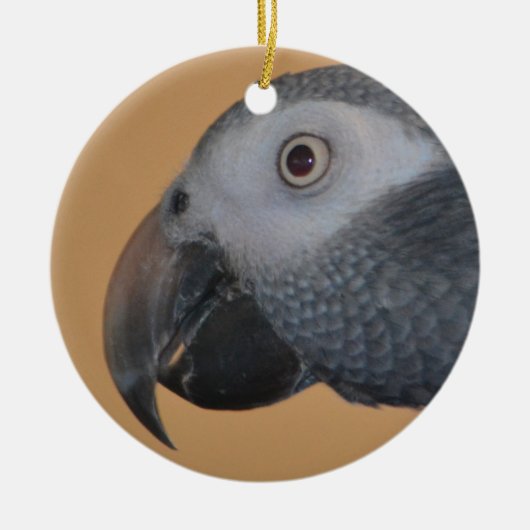 Papegaai Ornament (Voorkant)