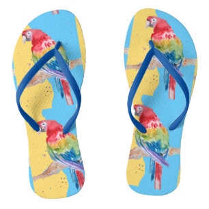 Papegaai Papegaaien Tropische Ara Vogel Blauw Here Teenslippers