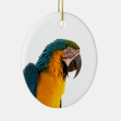 Papegaai Post-it Notities Keramisch Ornament (Rechts)