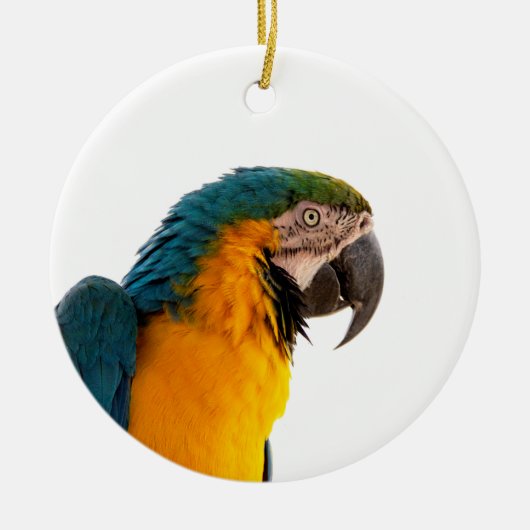 Papegaai Post-it Notities Keramisch Ornament (Voorkant)