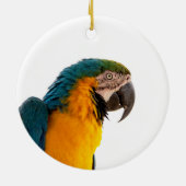Papegaai Post-it Notities Keramisch Ornament (Achterkant)
