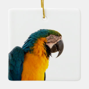 Papegaai Post-it Notities Keramisch Ornament