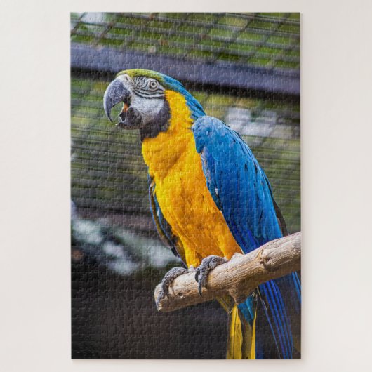 Papegaai Puzzel (Verticaal)