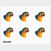 Papegaai  ronde sticker (Vel)