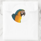 Papegaai  ronde sticker (Tas)