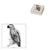  papegaai 	rubberstempel (Gestempeld)