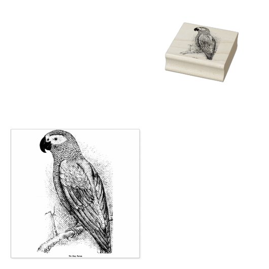 papegaai 	rubberstempel (Gestempeld)