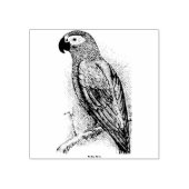  papegaai 	rubberstempel (Afrduk)