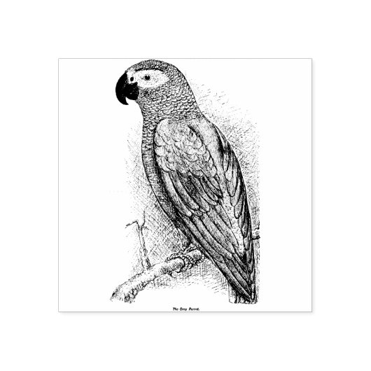  papegaai 	rubberstempel (Afrduk)