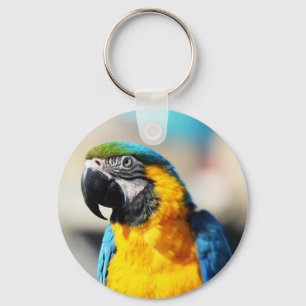papegaai sleutelhanger