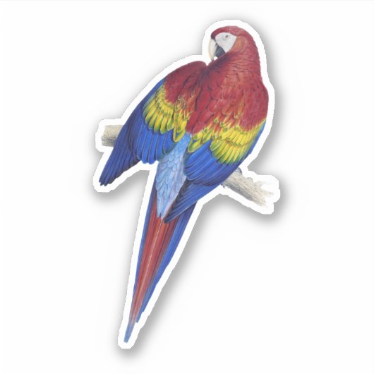 Papegaai Sticker (Voorkant)