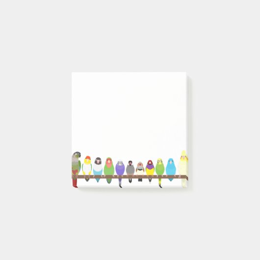 Papegaai Sticky Notes (Voorkant)