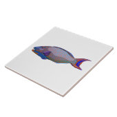 papegaai tegeltje (Zijkant)