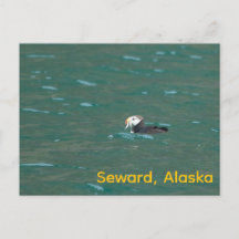 Papegaaiduiker die vis eet