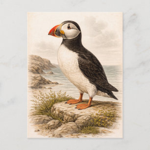 Papegaaiduiker-illustratie in vintage stijl briefkaart