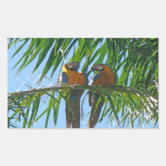 Papegaaien- Blauwe en Gouden Macaws Rechthoekige Sticker