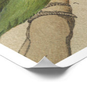 Papegaaien Tropische Vogels Kleurrijk Poster (Hoek)