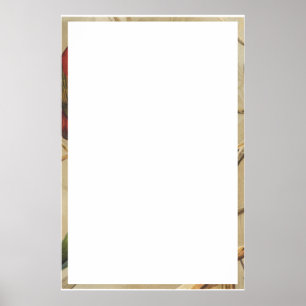 Papegaaien  Tropische Vogels Kleurrijk Poster