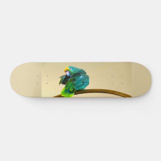 papegaaiendek skateboard (Horizontaal)